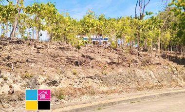 RESIDENTIAL LOT FOR SALE INSIDE MARYVILLE SUBDIVISION TALAMBAN CEBU