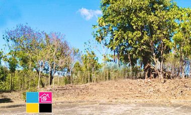 RESIDENTIAL LOT FOR SALE INSIDE MARYVILLE SUBDIVISION TALAMBAN CEBU