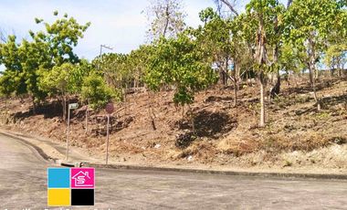 RESIDENTIAL LOT FOR SALE INSIDE MARYVILLE SUBDIVISION TALAMBAN CEBU
