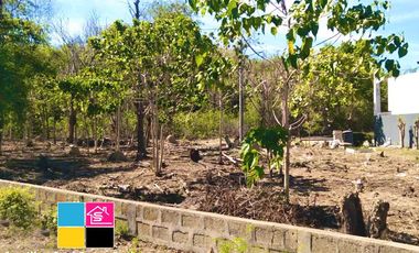 RESIDENTIAL LOT FOR SALE INSIDE MARYVILLE SUBDIVISION TALAMBAN CEBU