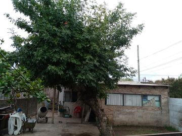 VENTA DE CASA EN CNEL. BRANDSEN