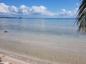 HERMOSAS PLAYAS VIRGENES EN PUNTA LARGARTO!