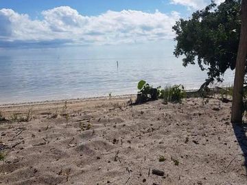 HERMOSAS PLAYAS VIRGENES EN PUNTA LARGARTO!