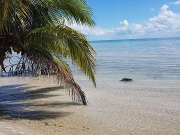 HERMOSAS PLAYAS VIRGENES EN PUNTA LARGARTO!