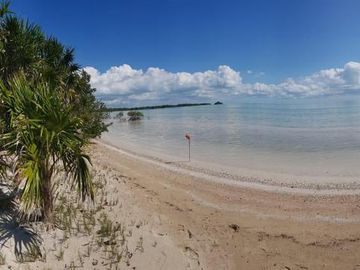 HERMOSAS PLAYAS VIRGENES EN PUNTA LARGARTO!