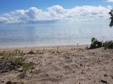 HERMOSAS PLAYAS VIRGENES EN PUNTA LARGARTO!
