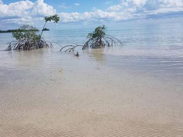 HERMOSAS PLAYAS VIRGENES EN PUNTA LARGARTO!