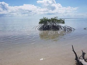 HERMOSAS PLAYAS VIRGENES EN PUNTA LARGARTO!