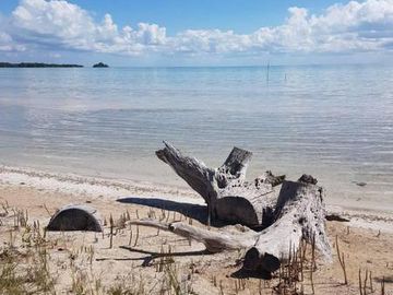 HERMOSAS PLAYAS VIRGENES EN PUNTA LARGARTO!
