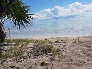 HERMOSAS PLAYAS VIRGENES EN PUNTA LARGARTO!