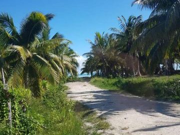 HERMOSAS PLAYAS VIRGENES EN PUNTA LARGARTO!
