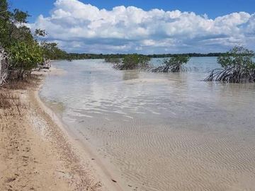 HERMOSAS PLAYAS VIRGENES EN PUNTA LARGARTO!