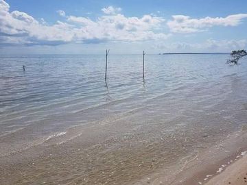 HERMOSAS PLAYAS VIRGENES EN PUNTA LARGARTO!
