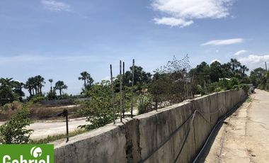 8,505 sqm Residential Lot for Sale in Liloan, Cebu