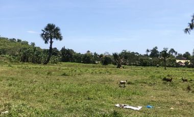 8,505 sqm Residential Lot for Sale in Liloan, Cebu