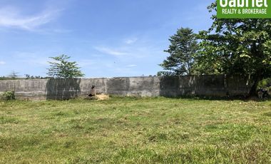 8,505 sqm Residential Lot for Sale in Liloan, Cebu