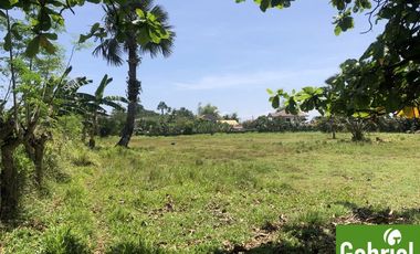 8,505 sqm Residential Lot for Sale in Liloan, Cebu