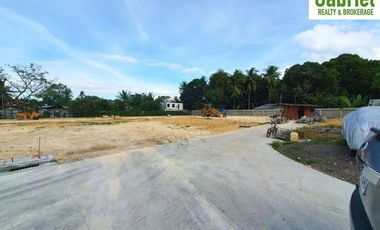 4-Bedroom Single Houses in Woodway Townhomes Talisay