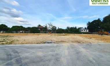 4-Bedroom Single Houses in Woodway Townhomes Talisay
