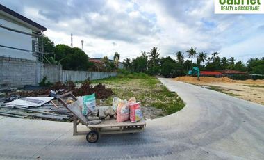 4-Bedroom Single Houses in Woodway Townhomes Talisay
