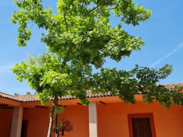 QUINTA EN VENTA EN BOSQUES DE LA SILLA, JUAREZ, N.L.
