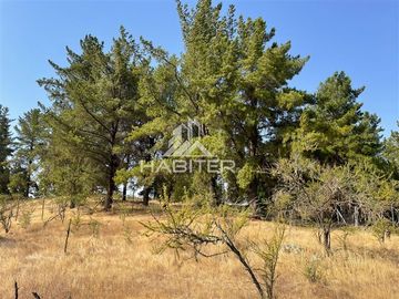 Parcela en Venta en interior Fundo el Peral