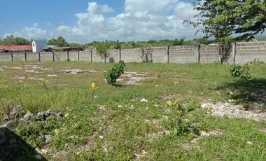 Residential Subdivision Lot in Cot-Cot, Liloan, Cebu