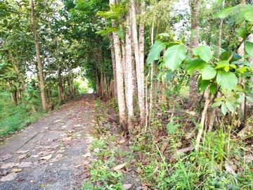 dijual kavling rumah griya indah nanggulan kulon progo