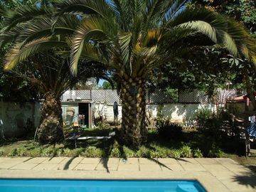 Local Comercial en Venta en Alcalde Castillo Velazco / Pepe Vila