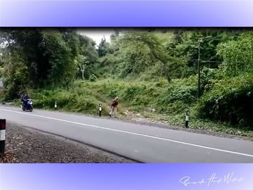 Tanah di Gunungsari Kekait Lombok Barat