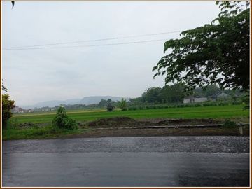 Kapling Ruko Terakhir Bisa Tempo Mangku Jalan Bugisan