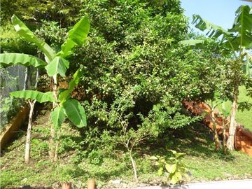 Casa en Venta, Betania, Villa de las Fuentes, El Dorado