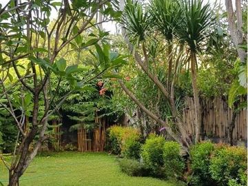 Dijual Rumah Luas Ada SPool Ada Halaman Depan Dan Belakang