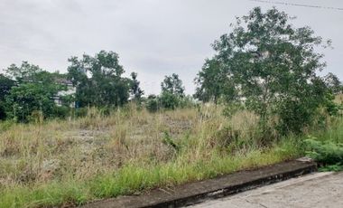163 Sqm Ready for Building Vista Grande Lot for Sale in Bulacao Talisay Cebu City