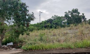 163 Sqm Ready for Building Vista Grande Lot for Sale in Bulacao Talisay Cebu City
