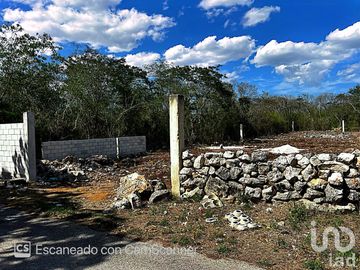 Venta de Terreno en Kinchil a 48 meses