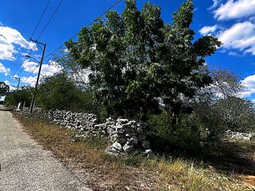 Venta de Terreno en Kinchil a 48 meses