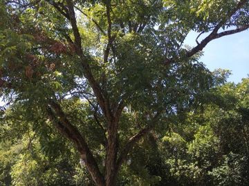 Quinta la Cáscara Montemorelos, Nuevo León / Venta oportunidad