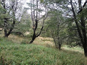 Parcela en venta en Coyhaique con casa mas quincho.