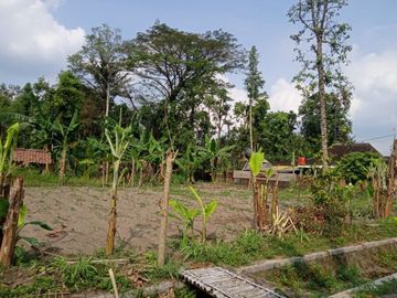 Berada di Perbatasan Jogja Klaten Rumah Klasik Tipe 60