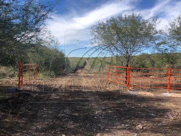 Ranchos Venta San Carlos  40-RV-5303
