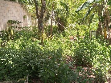Venta de Casa Colonial, centro de Valladolid, Yucatán