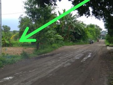 Tanah Sawah di Wringinanom Gresik