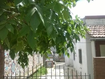 Vendo casa de 3 dormitorios