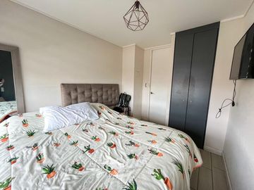Departamento Brasil ID: 176848r
