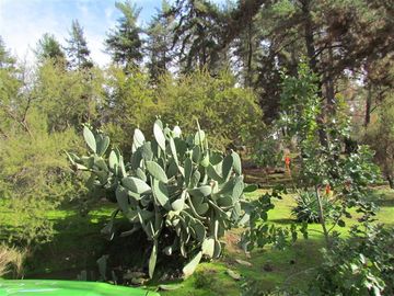 Parcela en Venta en condominio oasis de la campana