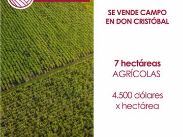 Se vende campo en Don Cristóbal