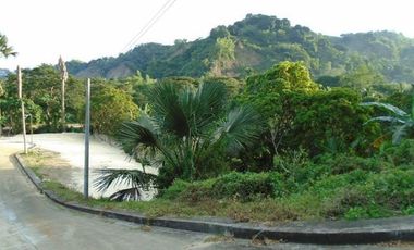 Overlooking 145 Sqm Lot for Sale near Talamban Cebu City with Mountain View