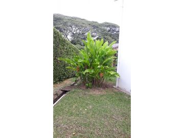 VENTA FINCA EL RECREO, LA CABAÑA, MANIZALES | INMOBILIARIA MANIZALES
