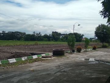 Beli Tanah Di Klaten Sekarang Bulan Depan Sudah Untung Besar